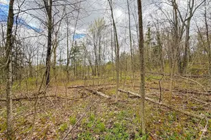 9945 Cty Cc Rd, Pittsville, WI 54466 - Photo 73
