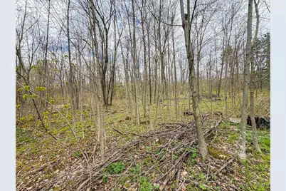 9945 Cty Cc Road, Pittsville, WI 54466 - Photo 71