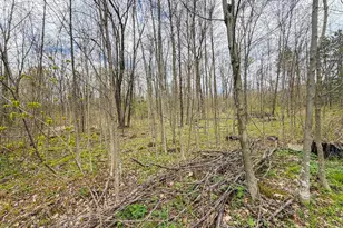 9945 Cty Cc Rd, Pittsville, WI 54466 - Photo 71