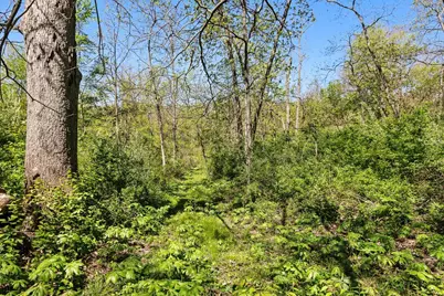 7529 County F Road, Blanchardville, WI 53516 - Photo 35