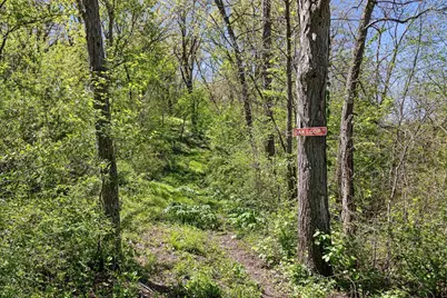 7529 County F Road, Blanchardville, WI 53516 - Photo 31