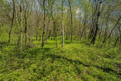 7 Acres London Avenue, Wilton, WI 54670 - Photo 21