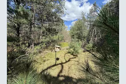 N11336 10th Avenue, Necedah, WI 54646 - Photo 35