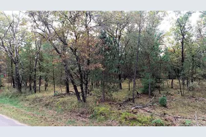 40.18 Acres Deerborn Avenue, Friendship, WI 53934 - Photo 5