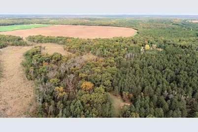 40.18 Acres Deerborn Avenue, Friendship, WI 53934 - Photo 19