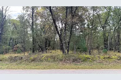 40.18 Acres Deerborn Avenue, Friendship, WI 53934 - Photo 3