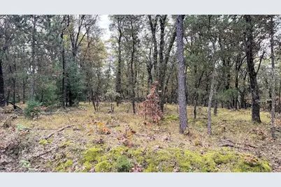 40.18 Acres Deerborn Avenue, Friendship, WI 53934 - Photo 7