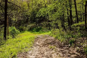 17797 Dayton Ridge Rd, Richland Center, WI 53581 - Photo 25