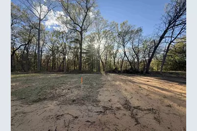 Lots 3&amp;4 Arbor Lake N Street, Lyndon Station, WI 53944 - Photo 5