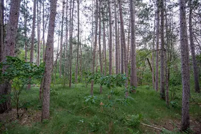 Lot 204 Raven Drive, New Lisbon, WI 53950 - Photo 17
