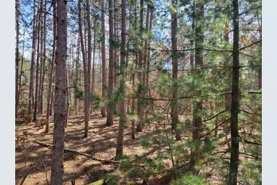 Lot 204 Raven Drive, New Lisbon, WI 53950 - Photo 45
