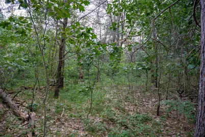 Lot 204 Raven Drive, New Lisbon, WI 53950 - Photo 47