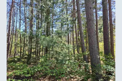 Lot 204 Raven Drive, New Lisbon, WI 53950 - Photo 3