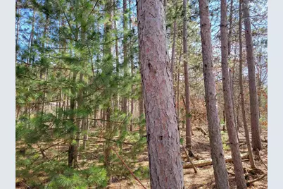 Lot 204 Raven Drive, New Lisbon, WI 53950 - Photo 41
