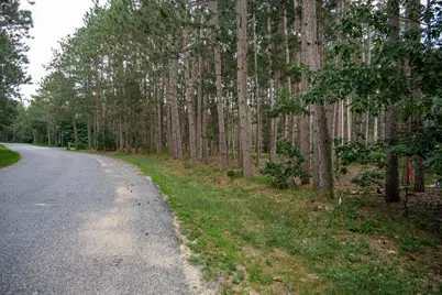 Lot 204 Raven Drive, New Lisbon, WI 53950 - Photo 53
