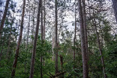 Lot 204 Raven Drive, New Lisbon, WI 53950 - Photo 23