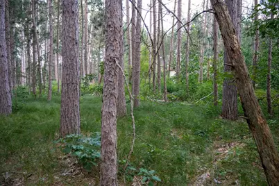 Lot 204 Raven Drive, New Lisbon, WI 53950 - Photo 13