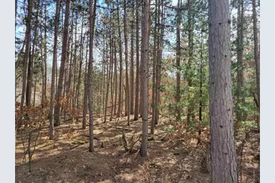 Lot 204 Raven Drive, New Lisbon, WI 53950 - Photo 43