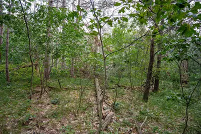 Lot 204 Raven Drive, New Lisbon, WI 53950 - Photo 49