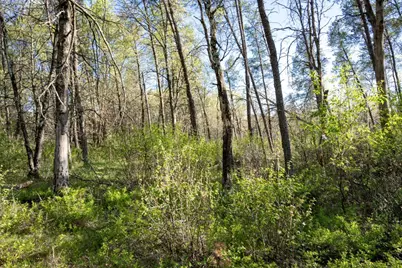 2 Ac 25th St E, Necedah, WI 54646 - Photo 27