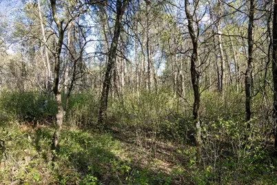 2 Ac 25th St E, Necedah, WI 54646 - Photo 23