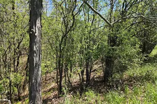 N6526 State Road 22, Pardeeville, WI 53954 - Photo 55