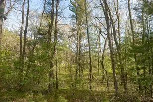 N9193 Becker Rd, Westfield, WI 53964 - Photo 33