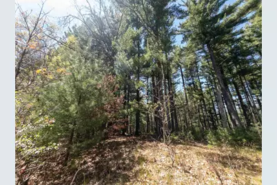 3.2 Ac Fern Avenue, Oxford, WI 53952 - Photo 7