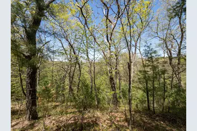 3.2 Ac Fern Avenue, Oxford, WI 53952 - Photo 9