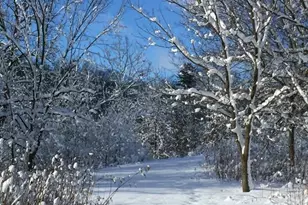 E13970 County F Rd, Ontario, WI 54651 - Photo 55