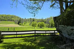E13970 County F Rd, Ontario, WI 54651 - Photo 7