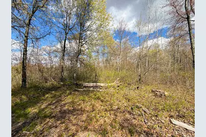 521 Cottonville Avenue, Friendship, WI 53934 - Photo 21