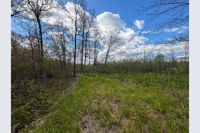 521 Cottonville Avenue, Friendship, WI 53934 - Photo 31