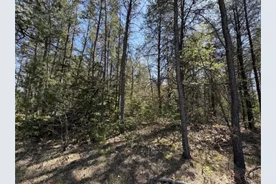 1.52 Acres Queens Way, Necedah, WI 54646 - Photo 5