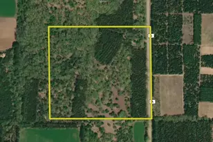 N7357 County A Rd, Westfield, WI 53964 - Photo 39