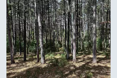 N7357 County  A Road, Westfield, WI 53964 - Photo 33