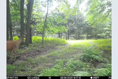 N7164 19th Road, Neshkoro, WI 54960 - Photo 61
