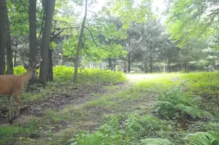 N7164 19th Rd, Neshkoro, WI 54960 - Photo 61