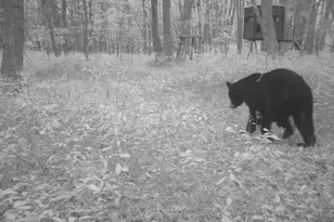 N7164 19th Rd, Neshkoro, WI 54960 - Photo 57
