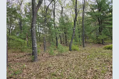 N5488 Black Road, Mauston, WI 53948 - Photo 15