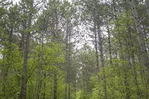 W3090 Yellow Banks Trail, Nekoosa, WI 54457 - Photo 61