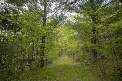 W3090 Yellow Banks Trail, Nekoosa, WI 54457 - Photo 59