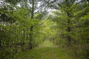 W3090 Yellow Banks Trail, Nekoosa, WI 54457 - Photo 59