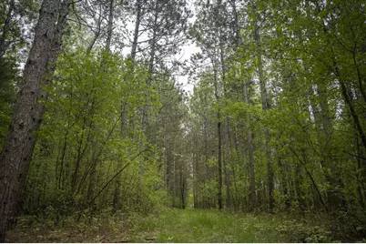 W3090 Yellow Banks Trail, Nekoosa, WI 54457 - Photo 63