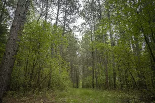 W3090 Yellow Banks Trail, Nekoosa, WI 54457 - Photo 63
