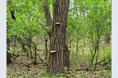 Lot Oxbow Trail, Princeton, WI 54968 - Photo 17