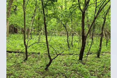 Lot Oxbow Trail, Princeton, WI 54968 - Photo 5