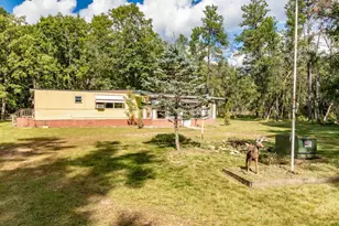 355 15th Dr, Nekoosa, WI 54457 - Photo 29