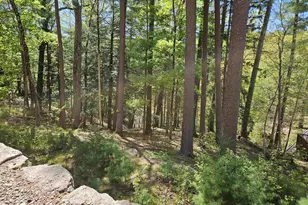 2411 River Rd, Wisconsin Dells, WI 53965 - Photo 29
