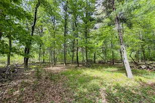 W6248 39th St, New Lisbon, WI 53950 - Photo 35